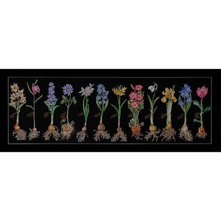 Fleurs à bulbe 1087-05 Thea Gouverneur