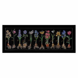 Fleurs à bulbe 1087-05 Thea Gouverneur