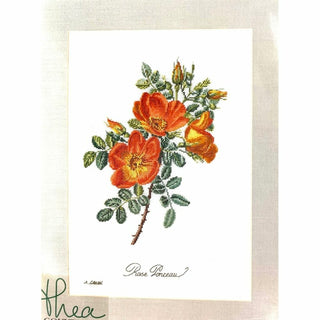 Thea Gouverneur 2028 lin Rose Chazal