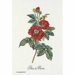 Thea Gouverneur 2029 lin Rose van Spaendonck