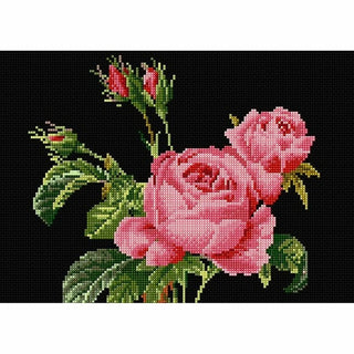 Thea Gouverneur 2030-05 Rose Redouté