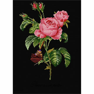 Thea Gouverneur 2030-05 Rose Redouté