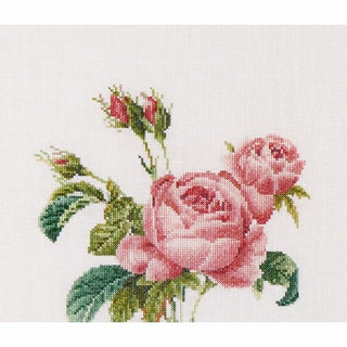 Thea Gouverneur 2030 lin Rose Redouté