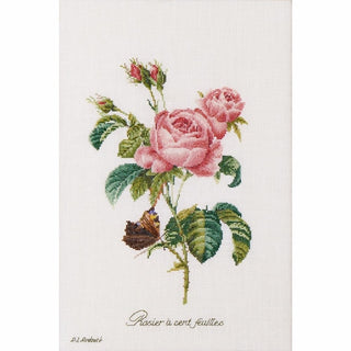 Thea Gouverneur 2030 lin Rose Redouté