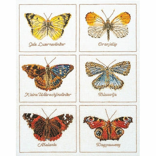 Papillons 2037 Aida Thea Gouverneur