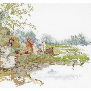 Chickens 2038 lin Thea Gouverneur