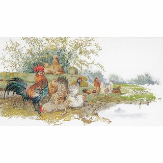 Chickens 2038 lin Thea Gouverneur