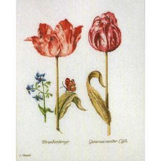Thea Gouverneur 2039 lin Tulipes