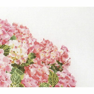 Hortensia rose 2047 lin Thea Gouverneur