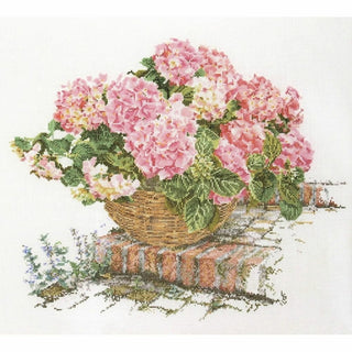 Hortensia rose 2047 Aida Thea Gouverneur