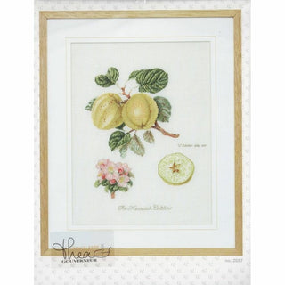 Pomme Keswick 2057 lin Thea Gouverneur