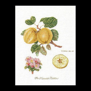 Pomme Keswick 2057 lin Thea Gouverneur