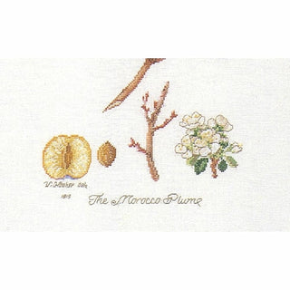 Thea Gouverneur 2059 lin Prunes