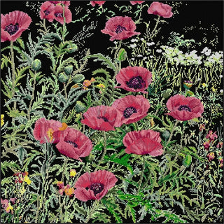 Coquelicots rose 2061-05 Thea Gouverneur