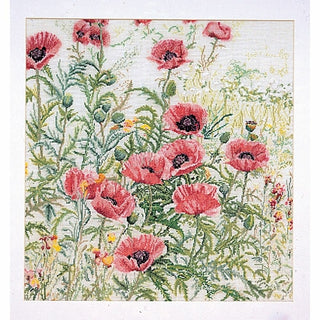 Coquelicots rose 2061 lin Thea Gouverneur