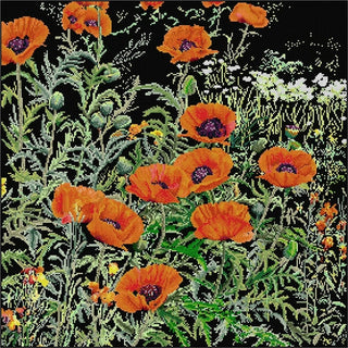 Coquelicots orange 2062-05 Thea Gouverneur
