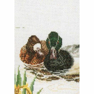 Canards 2065 lin Thea Gouverneur