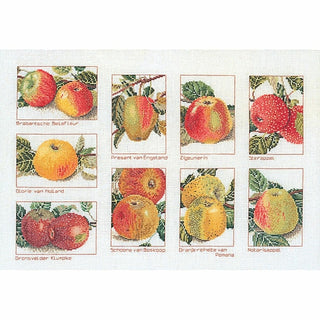 Thea Gouverneur 2082 lin Variété de pommes