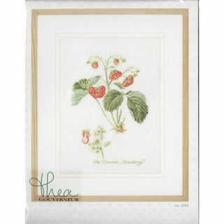 Thea Gouverneur 2085 Aida Fraise