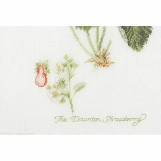 Thea Gouverneur 2085 Aida Fraise