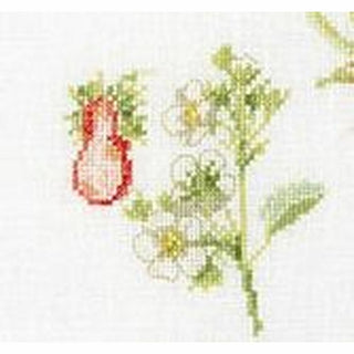 Thea Gouverneur 2085 lin Fraise