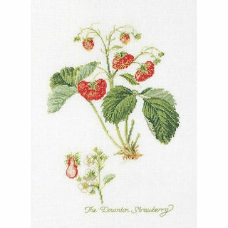 Thea Gouverneur 2085 lin Fraise