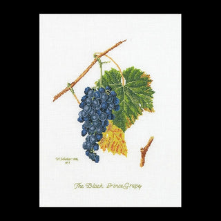 Raisin 2086 lin Thea Gouverneur