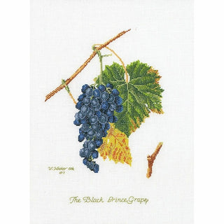 Raisin 2086 lin Thea Gouverneur