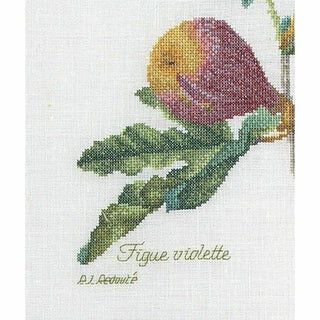 Figues 2087 lin Thea Gouverneur