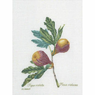 Figues 2087 lin Thea Gouverneur