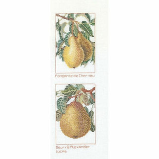 Variété de poires 2097 lin Thea Gouverneur