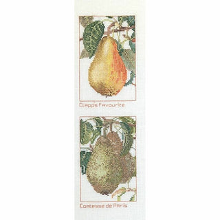 Variété de poires 2097 lin Thea Gouverneur