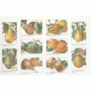 Variété de poires 2097 lin Thea Gouverneur