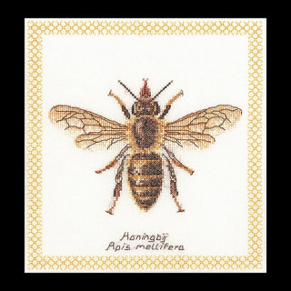 Abeille Honey bee 3017 lin Thea Gouverneur