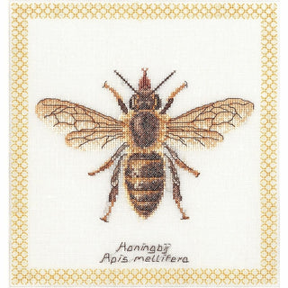 Abeille Honey bee 3017 Aida Thea Gouverneur