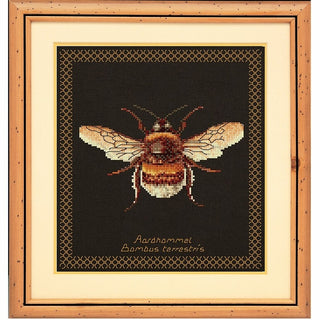 Bourdon 3018-05 Thea Gouverneur