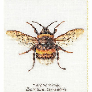Bourdon 3018 Aida Thea Gouverneur