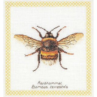 Bourdon 3018 Aida Thea Gouverneur