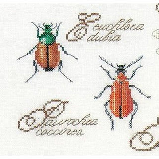 Les insectes 3029 Aida Thea Gouverneur