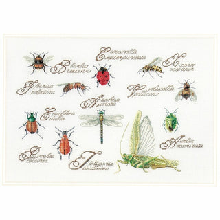 Les insectes 3029 Aida Thea Gouverneur