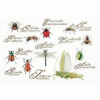 Les Insectes 3029 lin Thea Gouverneur