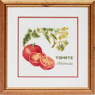 Tomate 3040 Aida Thea Gouverneur