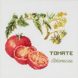 Tomate 3040 Aida Thea Gouverneur