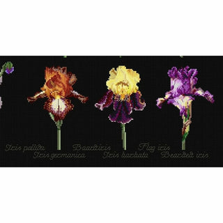Irises 3051-05 Thea Gouverneur
