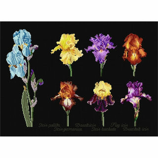 Irises 3051-05 Thea Gouverneur