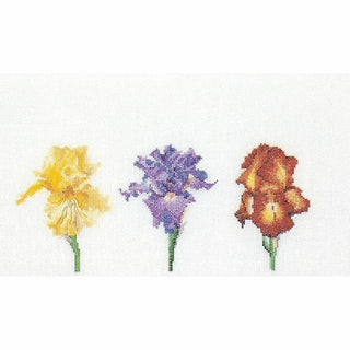 Irises 3051 Aida Thea Gouverneur