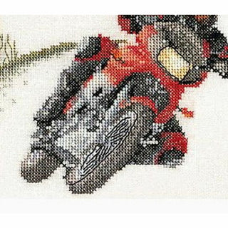 Motard 3054 lin Thea Gouverneur