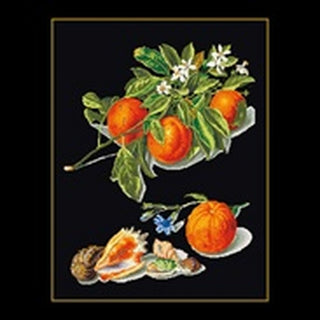 Orange et Mandarine 3061-05 Thea Gouverneur
