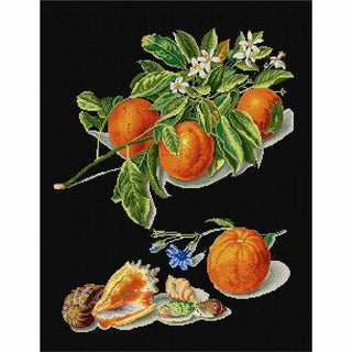 Orange et Mandarine 3061-05 Thea Gouverneur