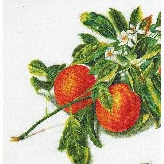 Orange et Mandarine 3061 Aida Thea Gouverneur